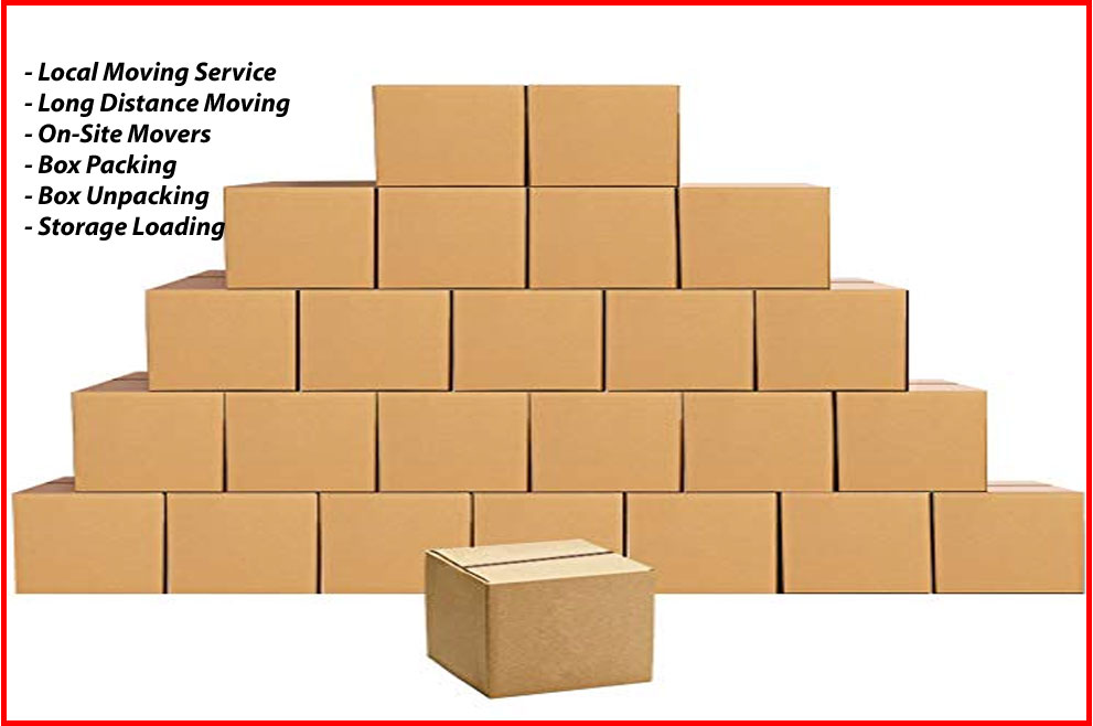 Packers And Movers Noida Sector 135